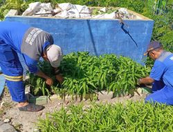 Lumpur SPALD di Kepulauan Seribu Dijadikan Media Tanam