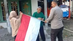 Antisipasi One Piece